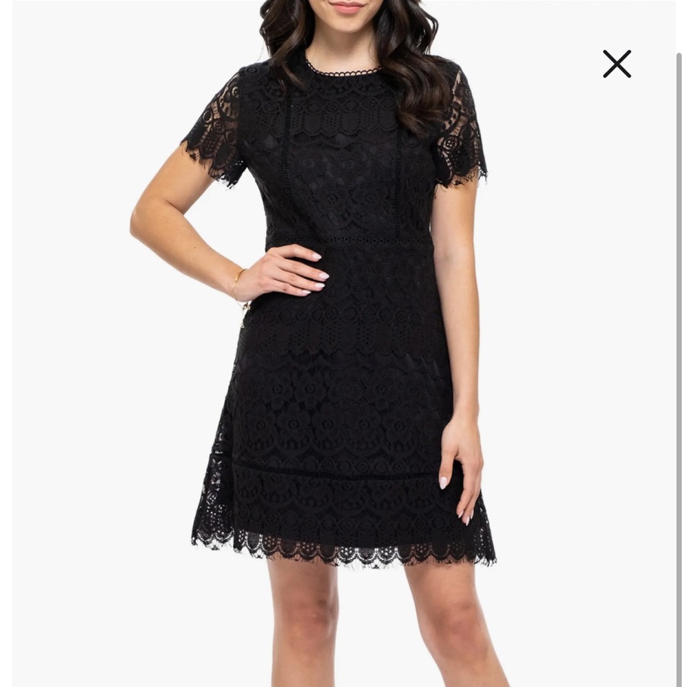 NWT August Sky Short Sleeve Lace Fit & Flare Dress